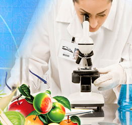 山東檢驗檢疫局食品農產品檢測中心 黨員技術服務熱線，筑牢食品安全防線