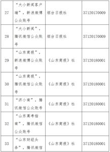 山東省互聯(lián)網(wǎng)新聞信息服務(wù)平臺(tái)許可與魯企集成專業(yè)服務(wù)發(fā)展路徑探索